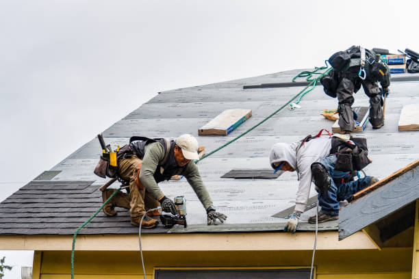Professional Roofing technician working in Alexis, IL